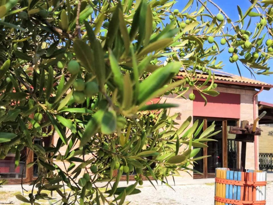 Morro dʼOro Country House Torrenera מראה חיצוני תמונה